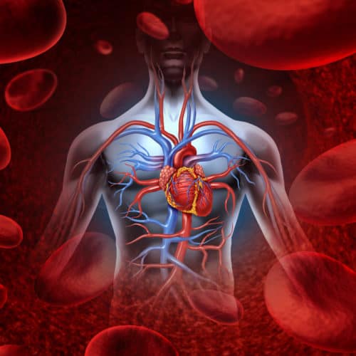 takotsubo cardiomyopathy