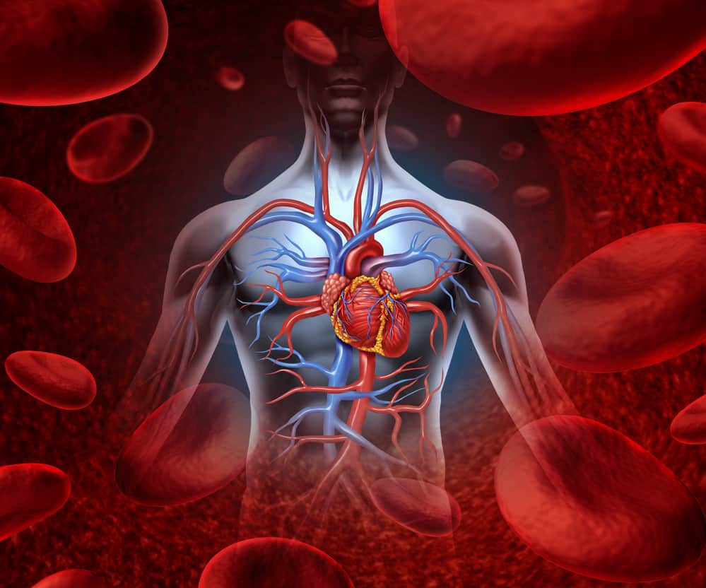 takotsubo cardiomyopathy