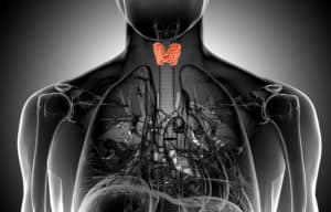 hashimoto's disease