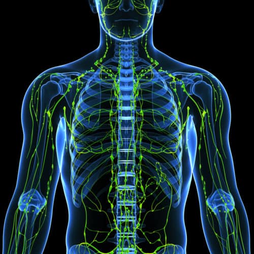 Hodgkin's Lymphoma | Allied Medical Training