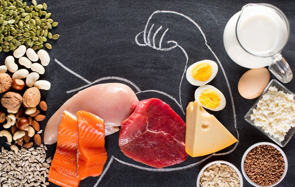 High,Protein,Food,For,Body,Builders,As,Meat,,Fish,,Dairy,